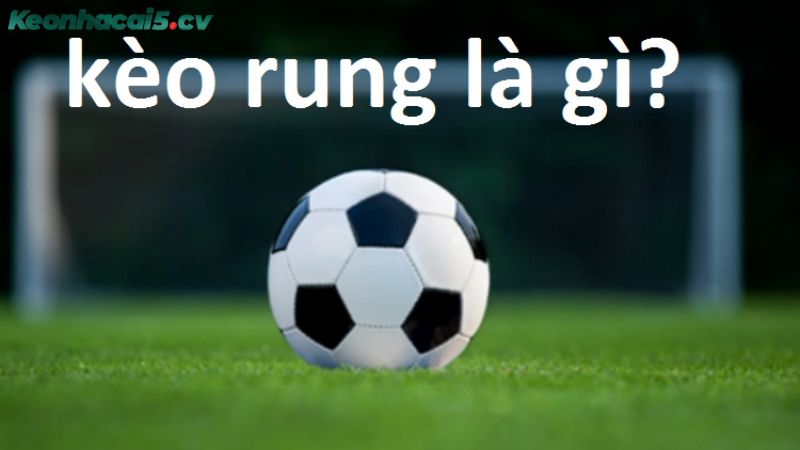 Kèo rung là gì? Khám phá cách chơi kèo rung hiệu quả từ cao thủ Kèo rung là gì? Khám phá cách chơi kèo rung hiệu quả từ cao thủ